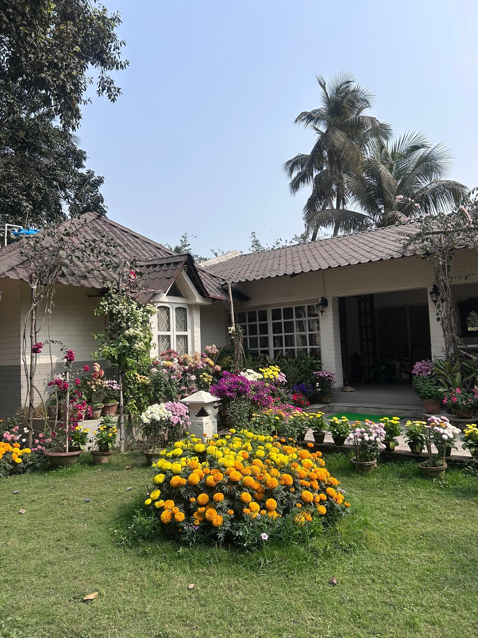 TCP Retreats — a tranquil bungalow surrounded by flowering gardens